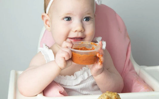 Homemade Baby Food Ideas for 6 Months: Healthy and Easy Recipes