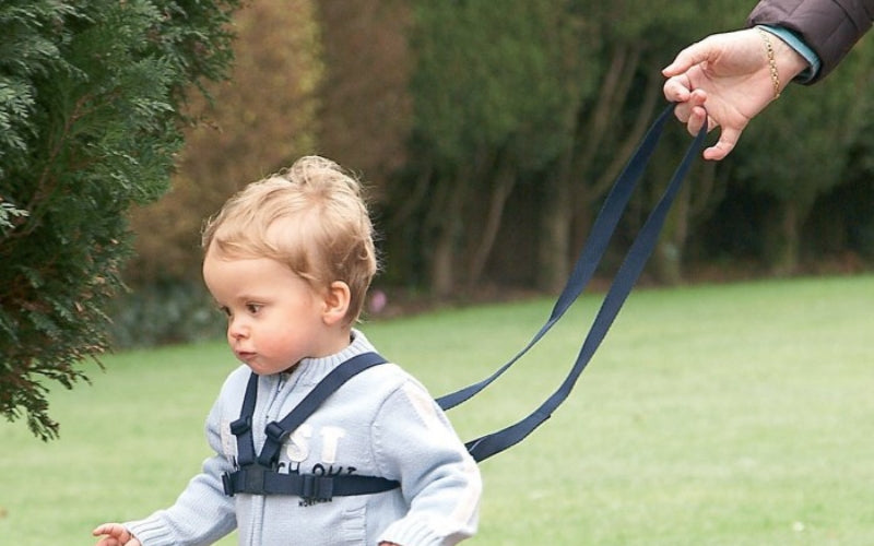 Why Every Parent Needs a Baby Harness for Safe Exploration